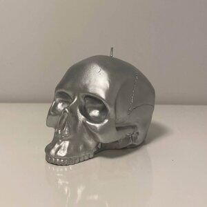 D&L Co. Silver Sculpted Skull Candle - 19.2oz